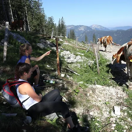 Ferienhaus Ehrenreith Alloggio per agriturismo
