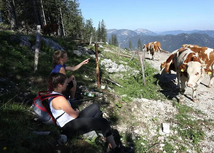 Ehrenreith Farm stay