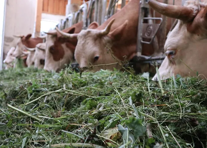 Ferienhaus Ehrenreith